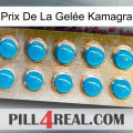 Prix De La Gelée Kamagra new09